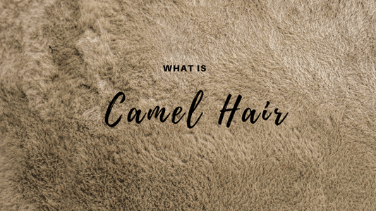 What is Camel Hair? Nature's Luxury Wool from the Bactrian Camel